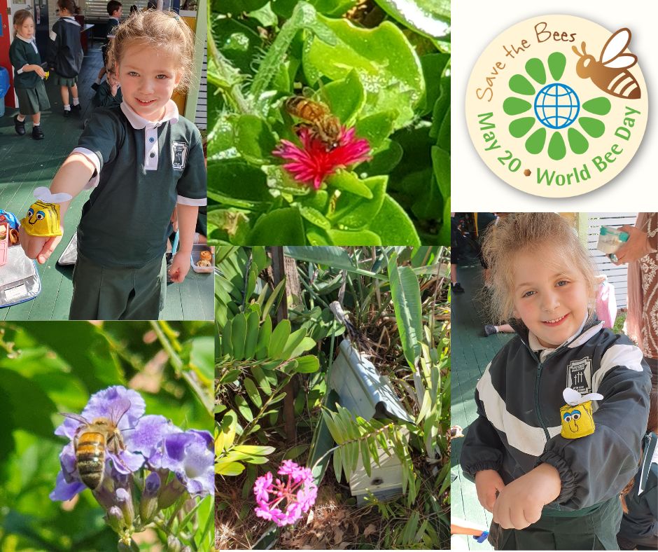 Today we recognise World... - Holy Cross School Wooloowin