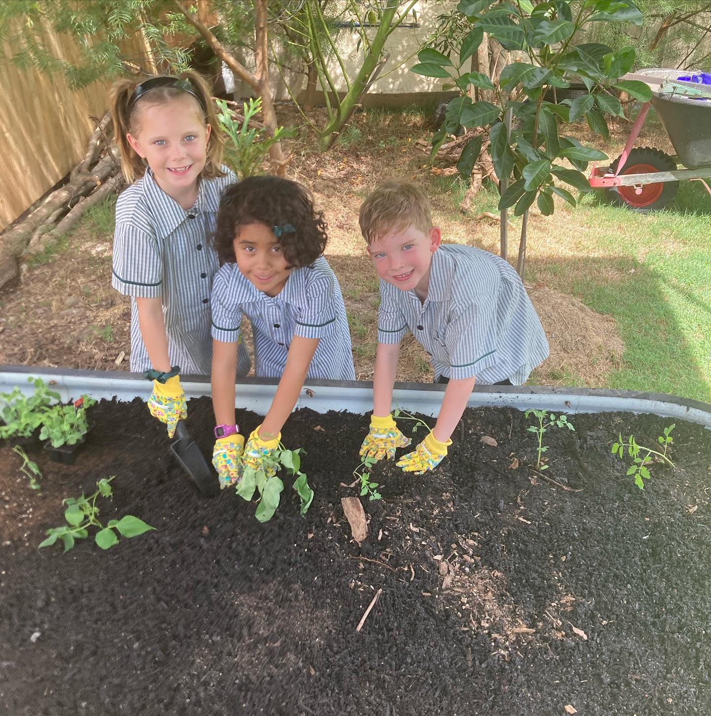 Today we recognise World... - Holy Cross School Wooloowin
