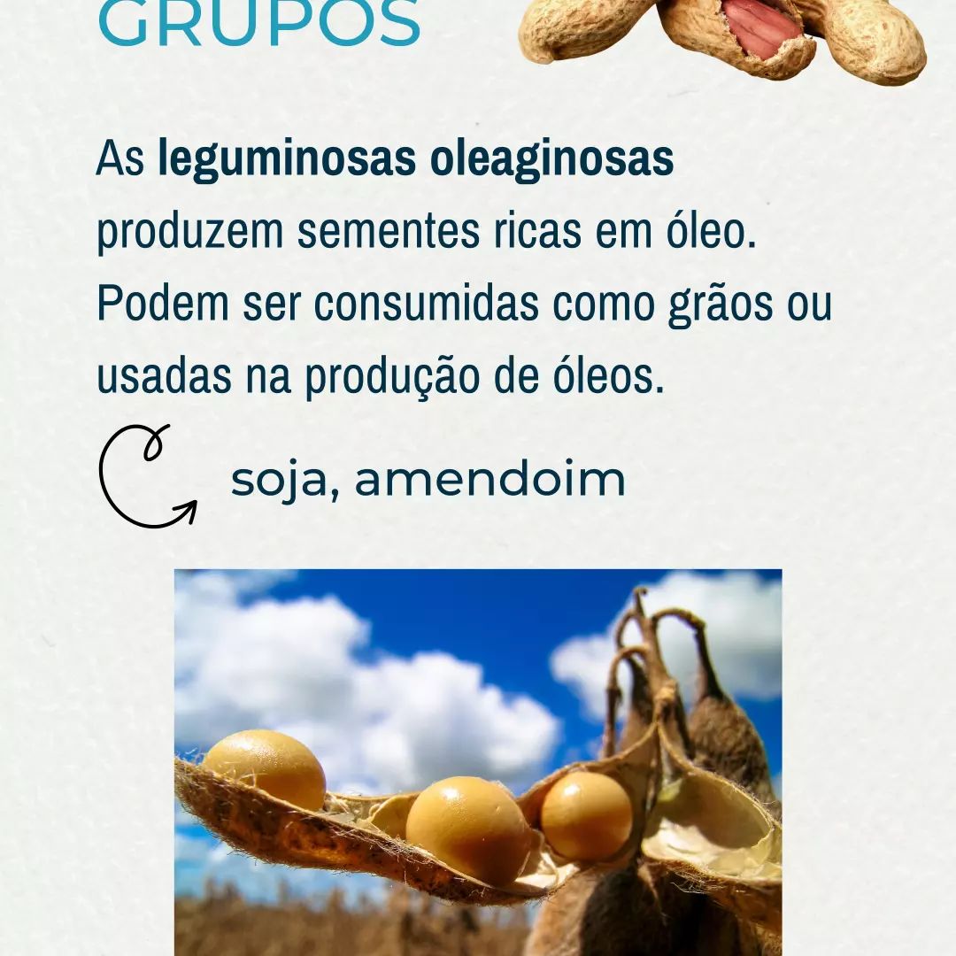Ciência, Cultura e Comida Fsp-Usp