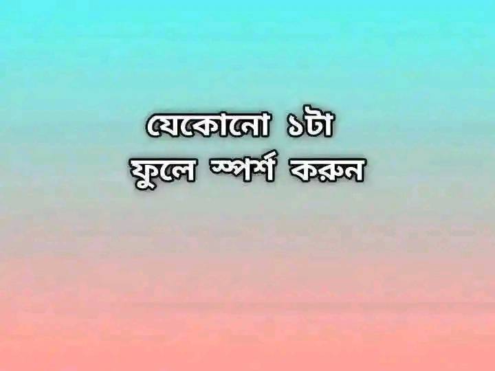 Shek Rasel