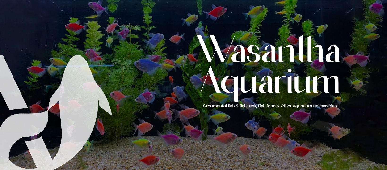 Wasantha Aquarium