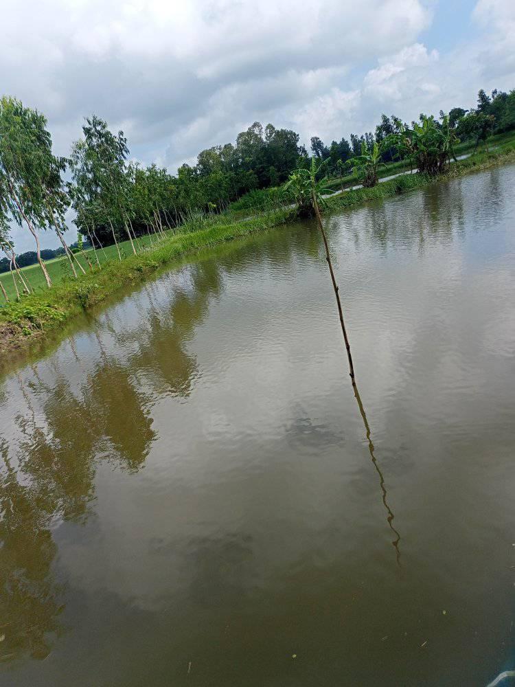 Jafor Agro | Comilla