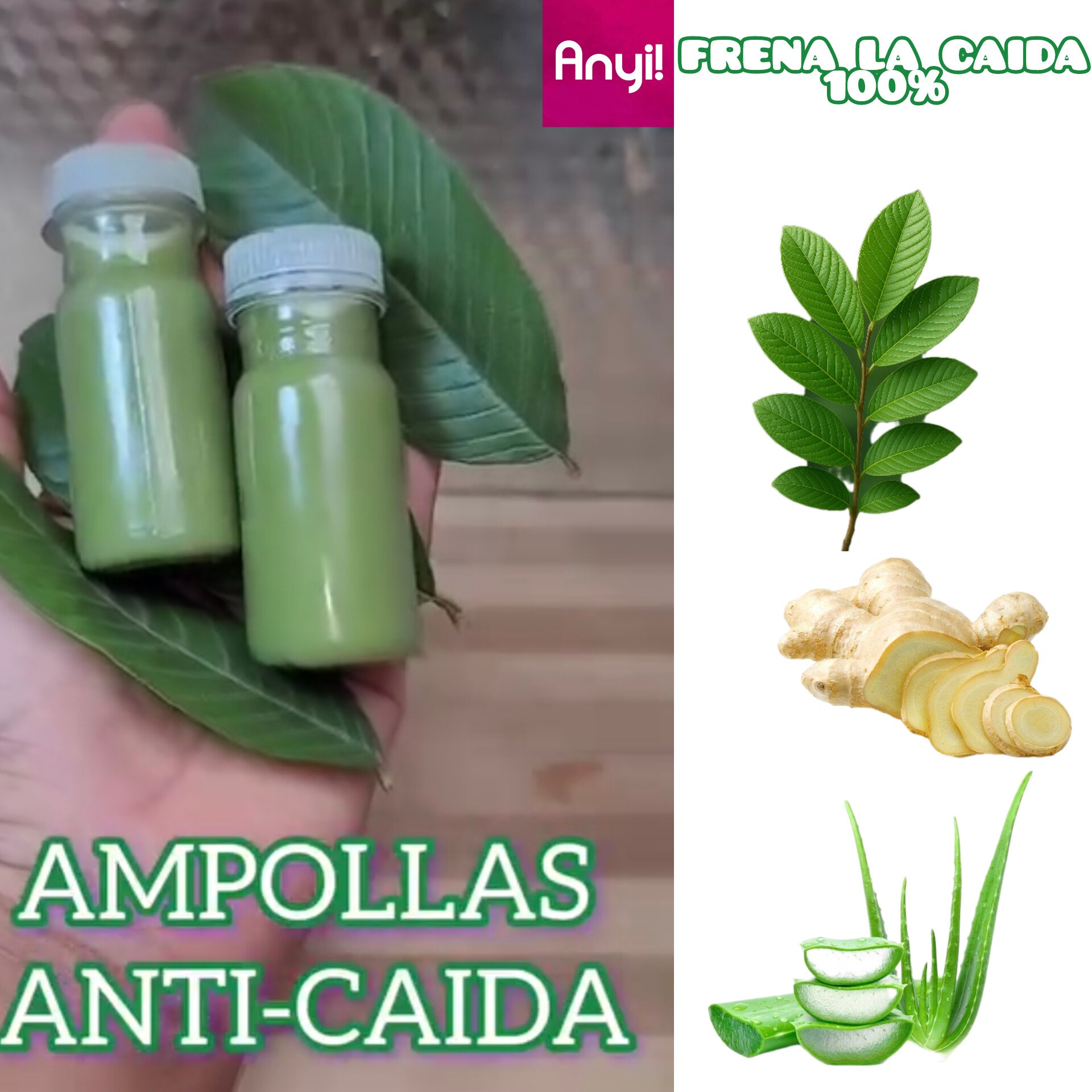 Anyii - Preparacion En una licuadora agregas -1 penca de sabila, solo ...