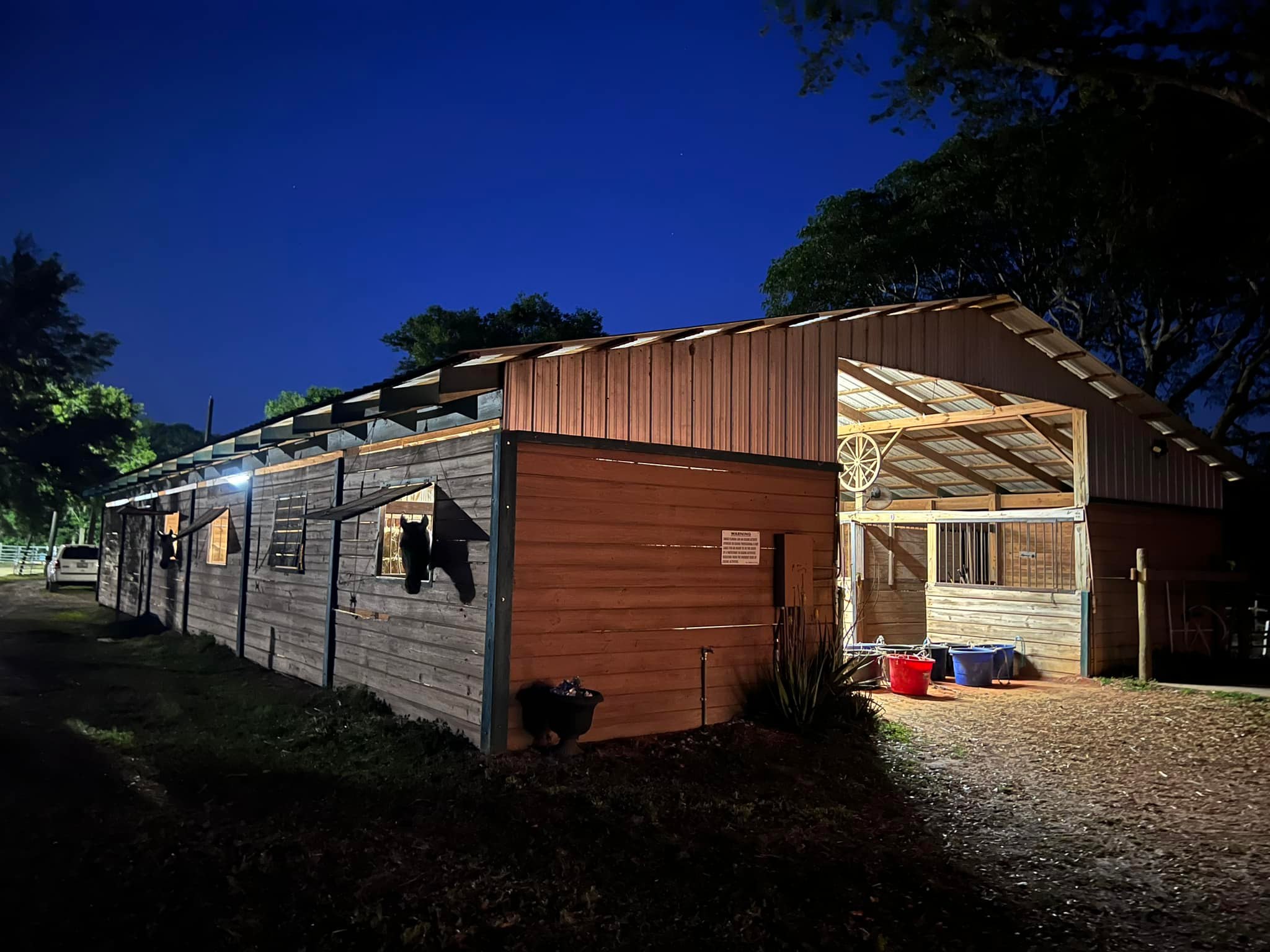 TD Ranch | Land O' Lakes FL