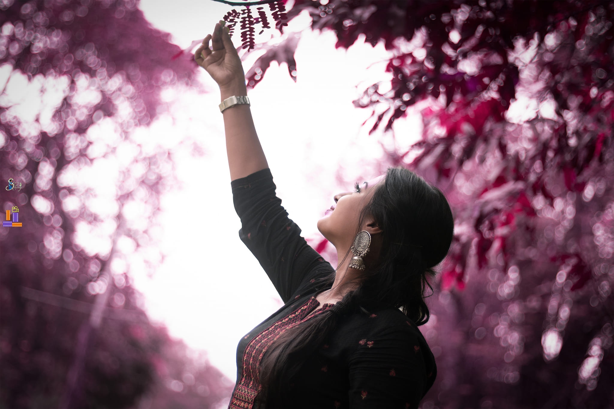 Explore with Cherry
