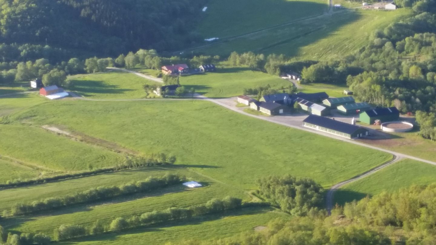 Vedal Gård | Brønnøysund