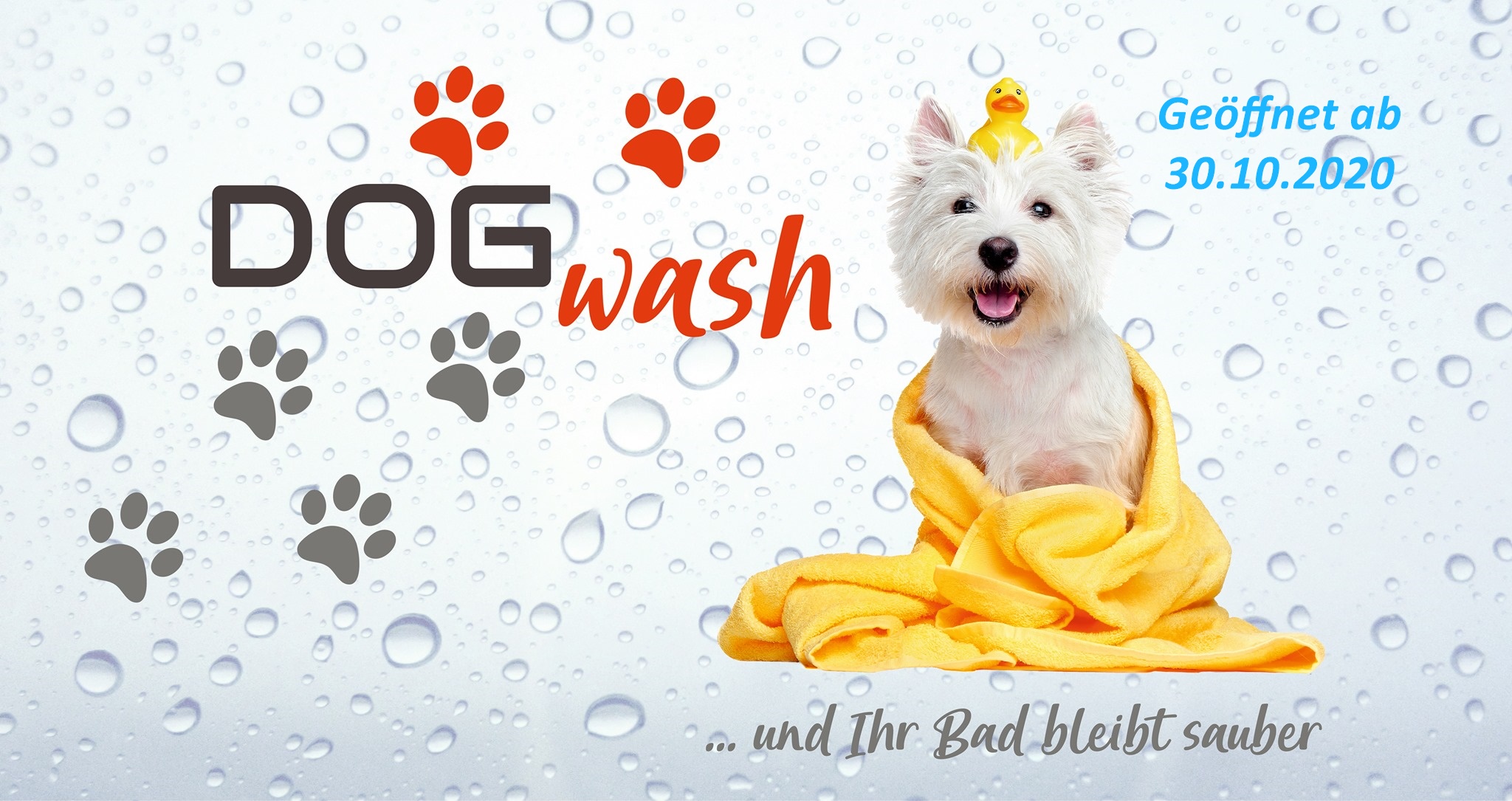 DOGwash Roding