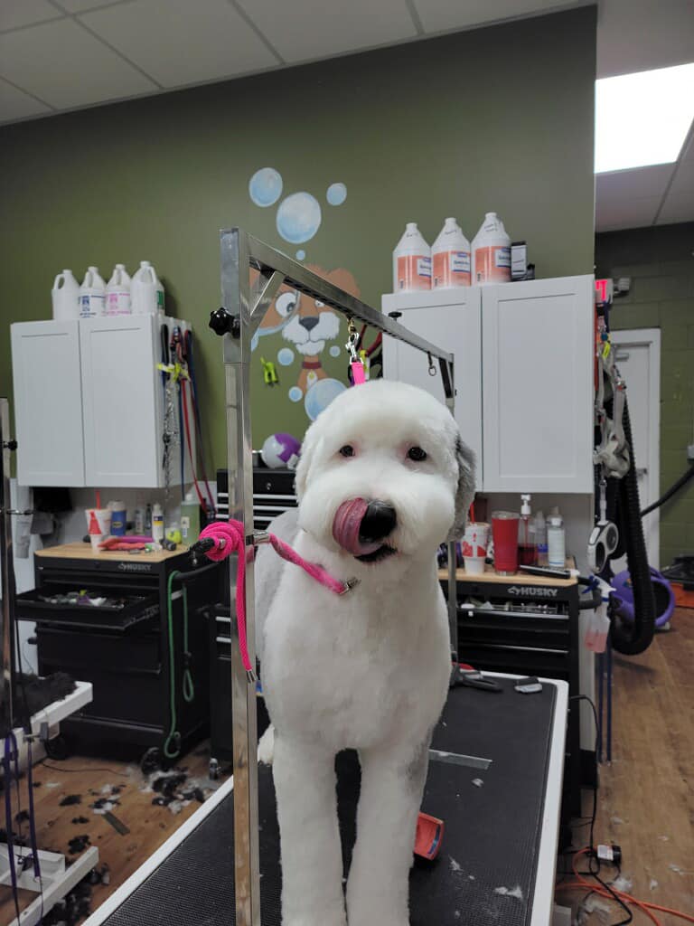 Sam and boo's place | Greenwood SC