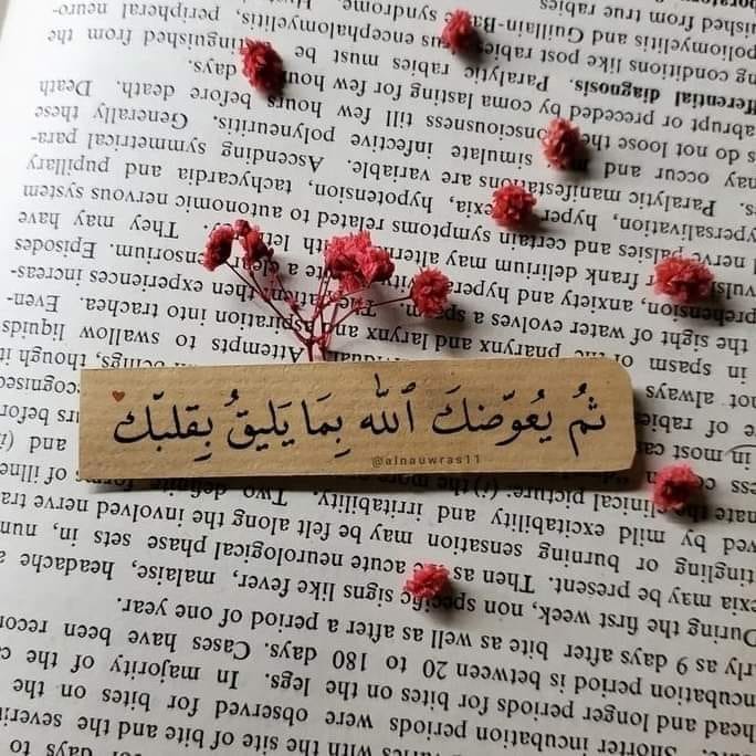 Semon Abdo Fahem