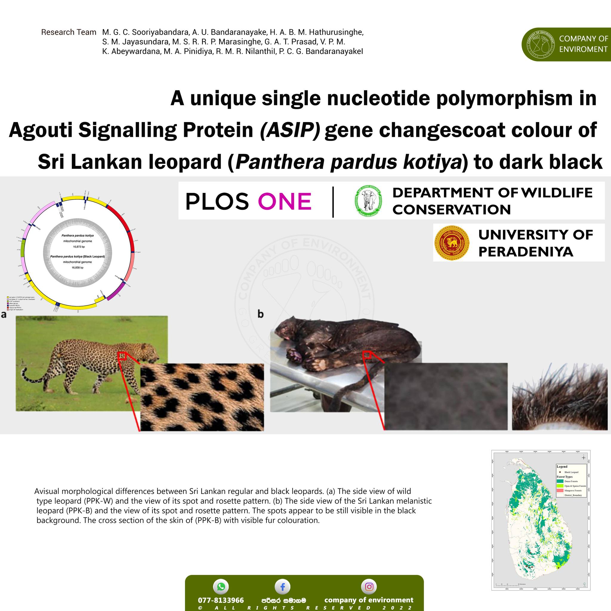 පරිසර සමාගම - A unique single nucleotide polymorphism in... | Facebook