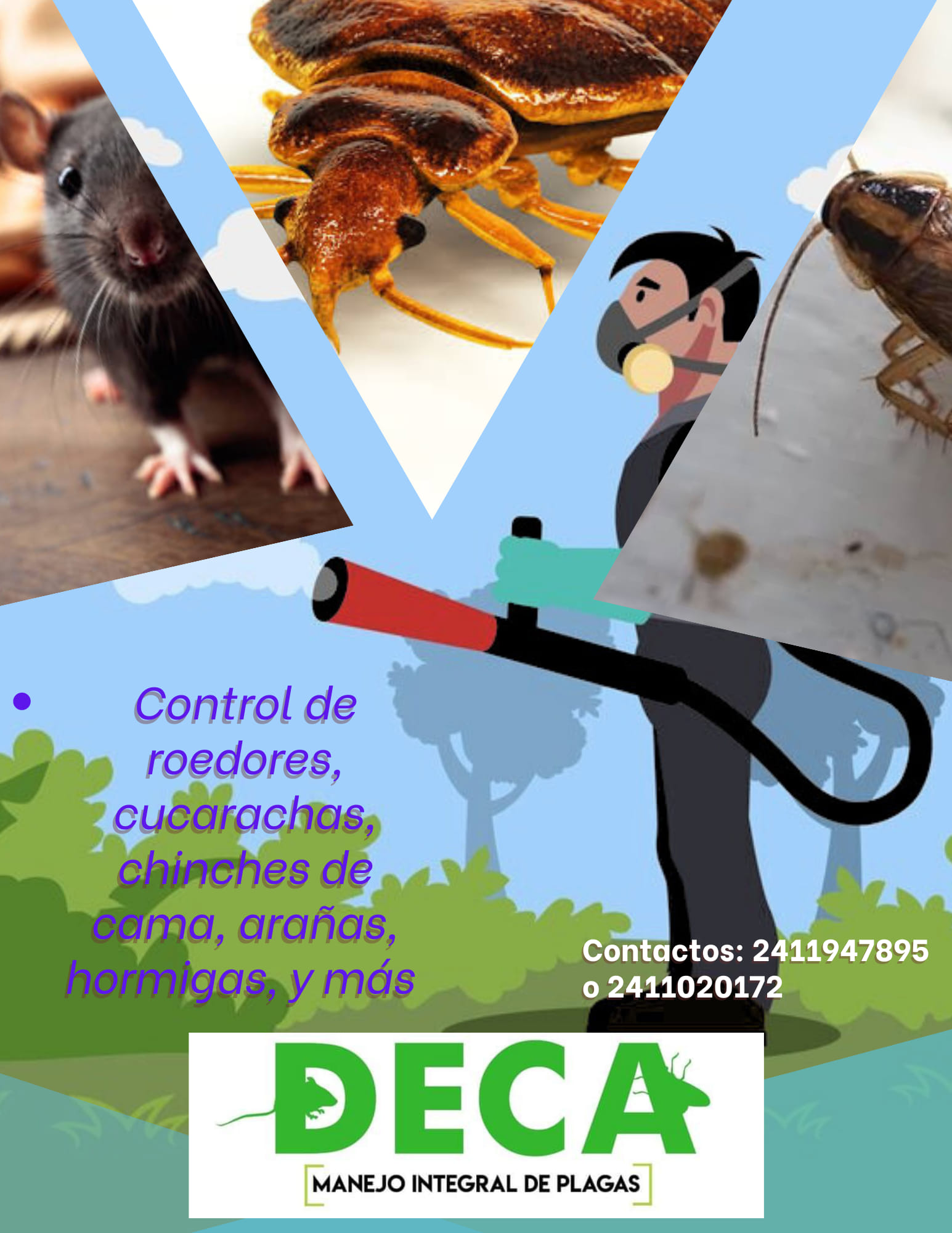 DECA Manejo Integral de... - DECA Manejo Integral de Plagas