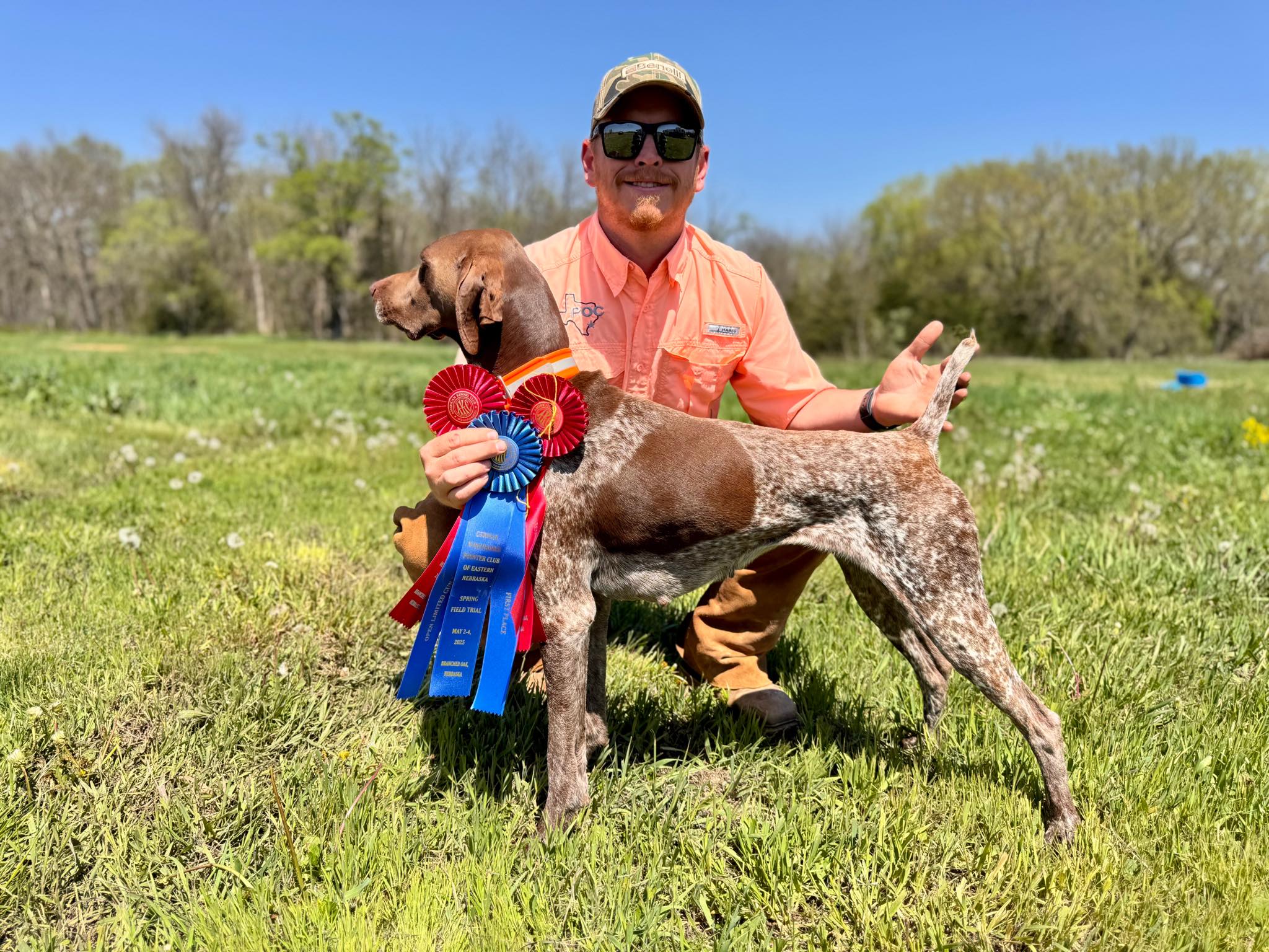 German - Harper had a great week at the Branched Oaks May Field Trials ...