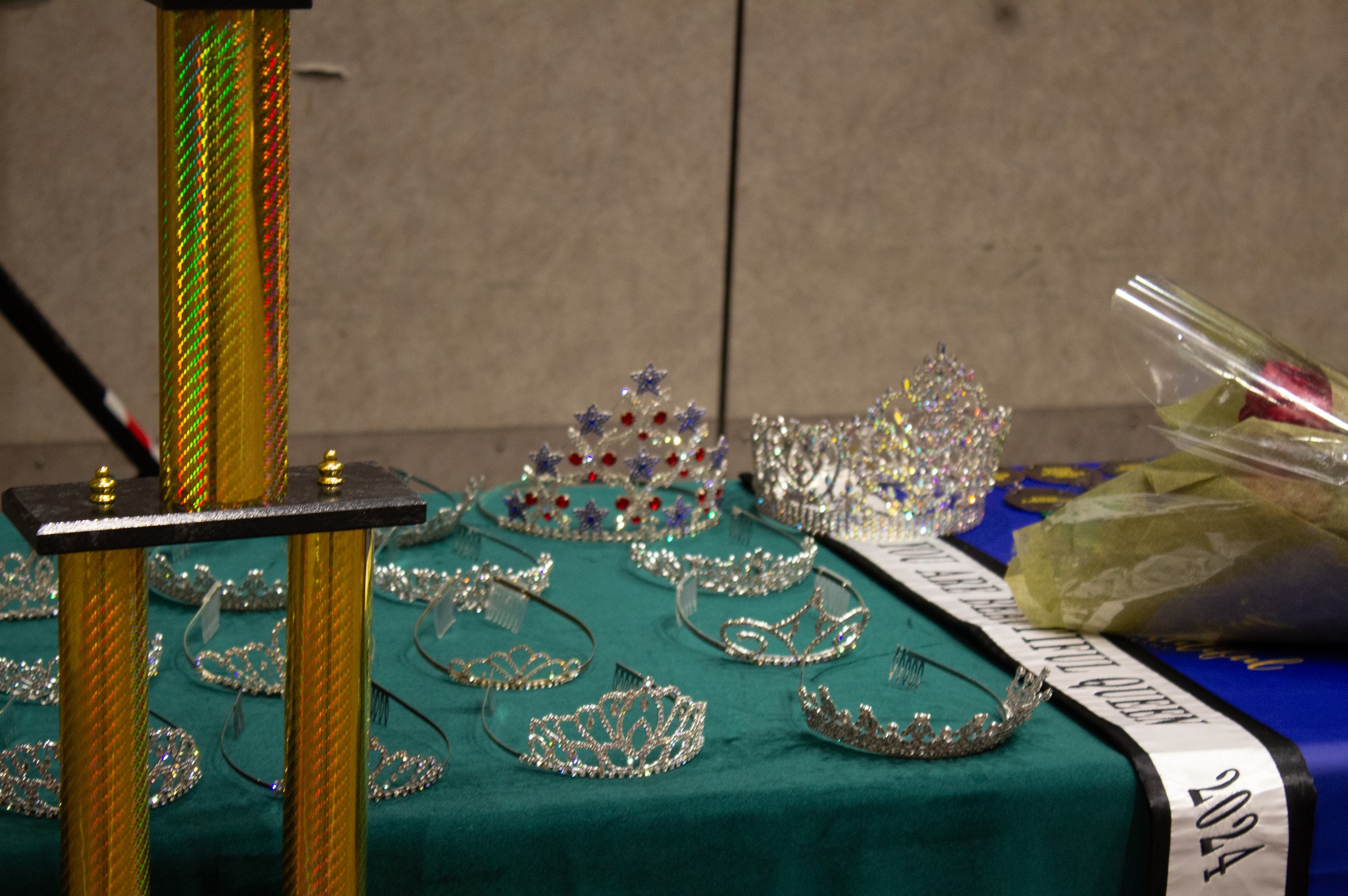 You Are Beautiful Special Needs Pageant