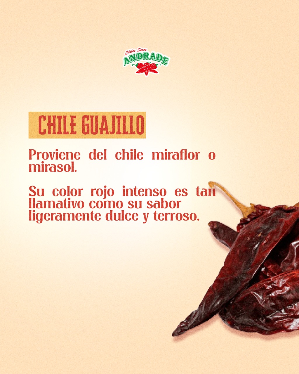 Chiles Secos Andrade | Hermosillo