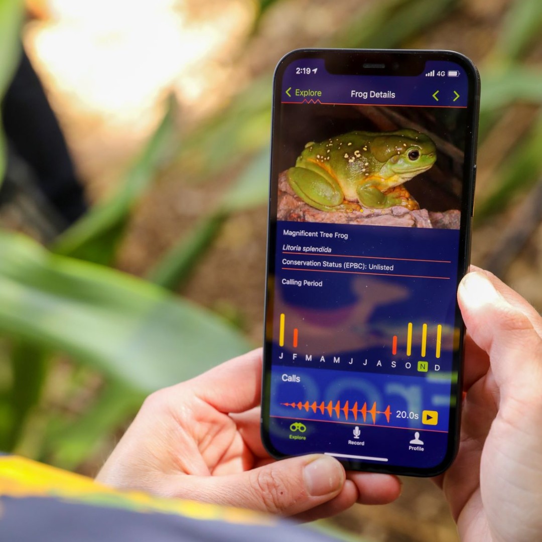 Did you know? Every frog call... - Australian Museum
