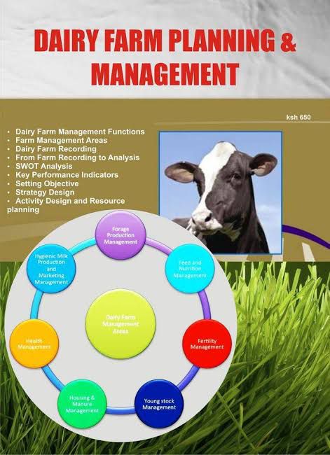 Nzambani - How to Successfully Manage a Small-Scale Dairy Farm with 5 ...