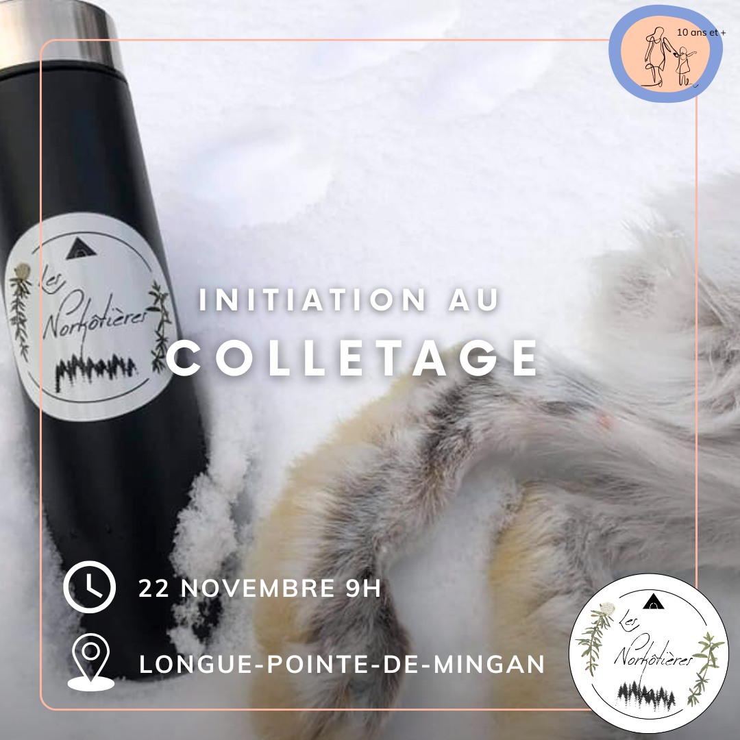 Initiation au colletage