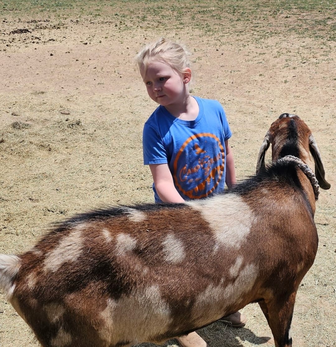 JJ Ranch Riding
