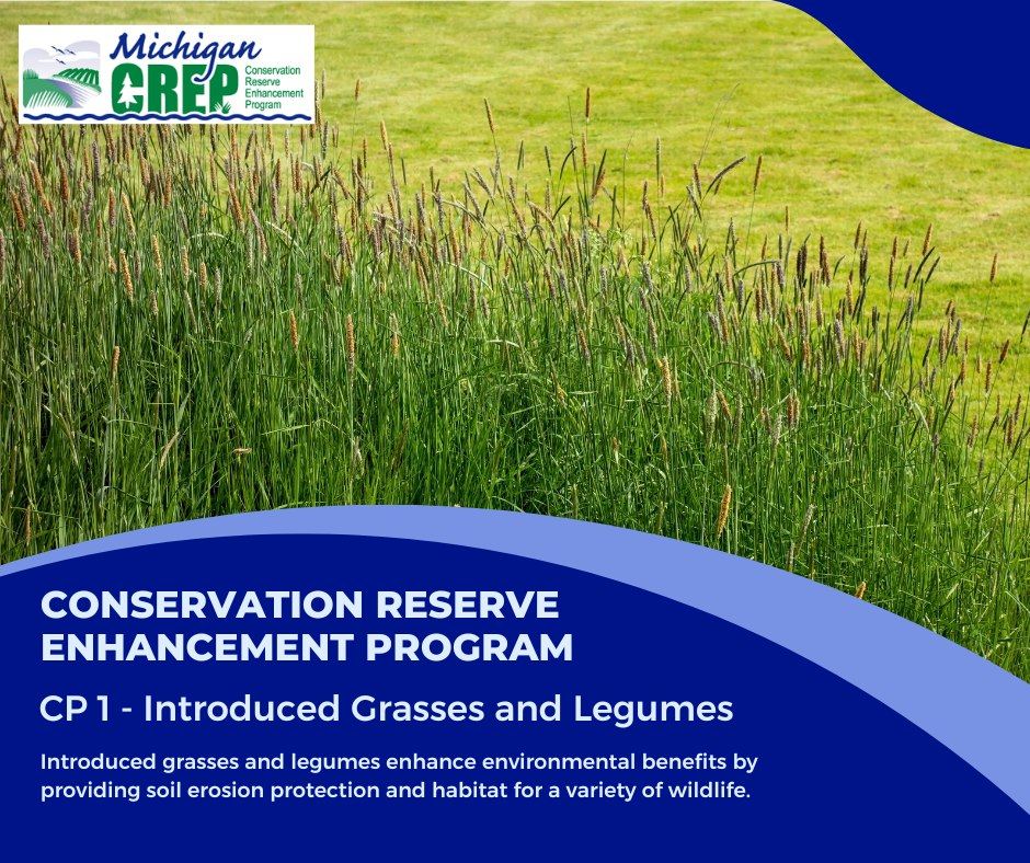 Michigan - Did you know Michigan’s Conservation Reserve Enhancement ...