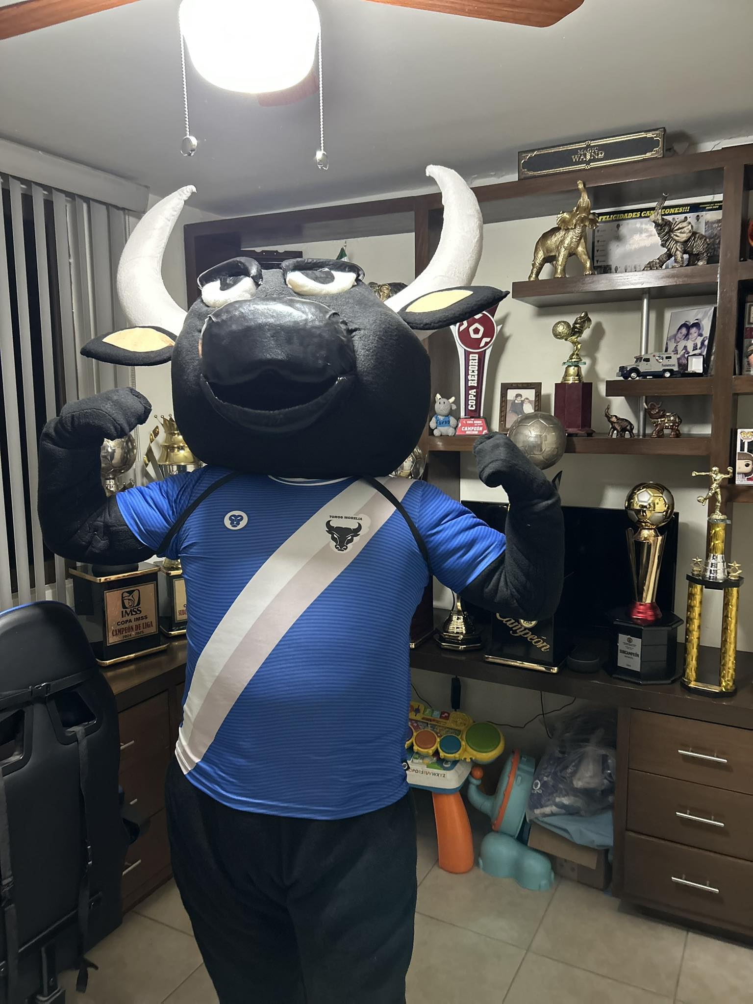 F.C TOROS Morelia