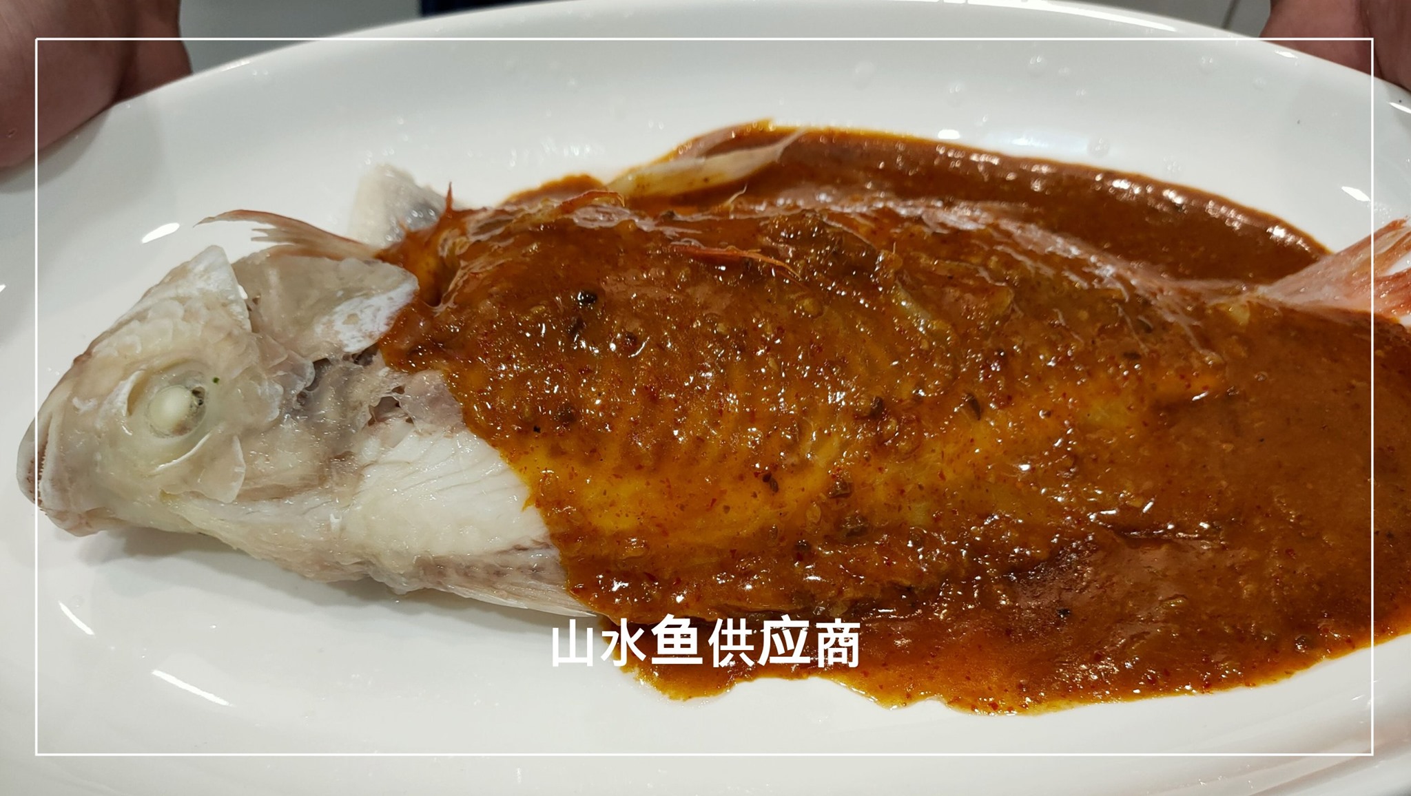 太平鱼师父 Master Taiping Fish... - 太平鱼师父 Master Taiping Fish