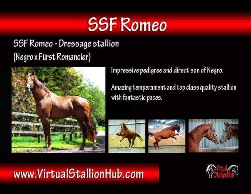 SSF ROMEO