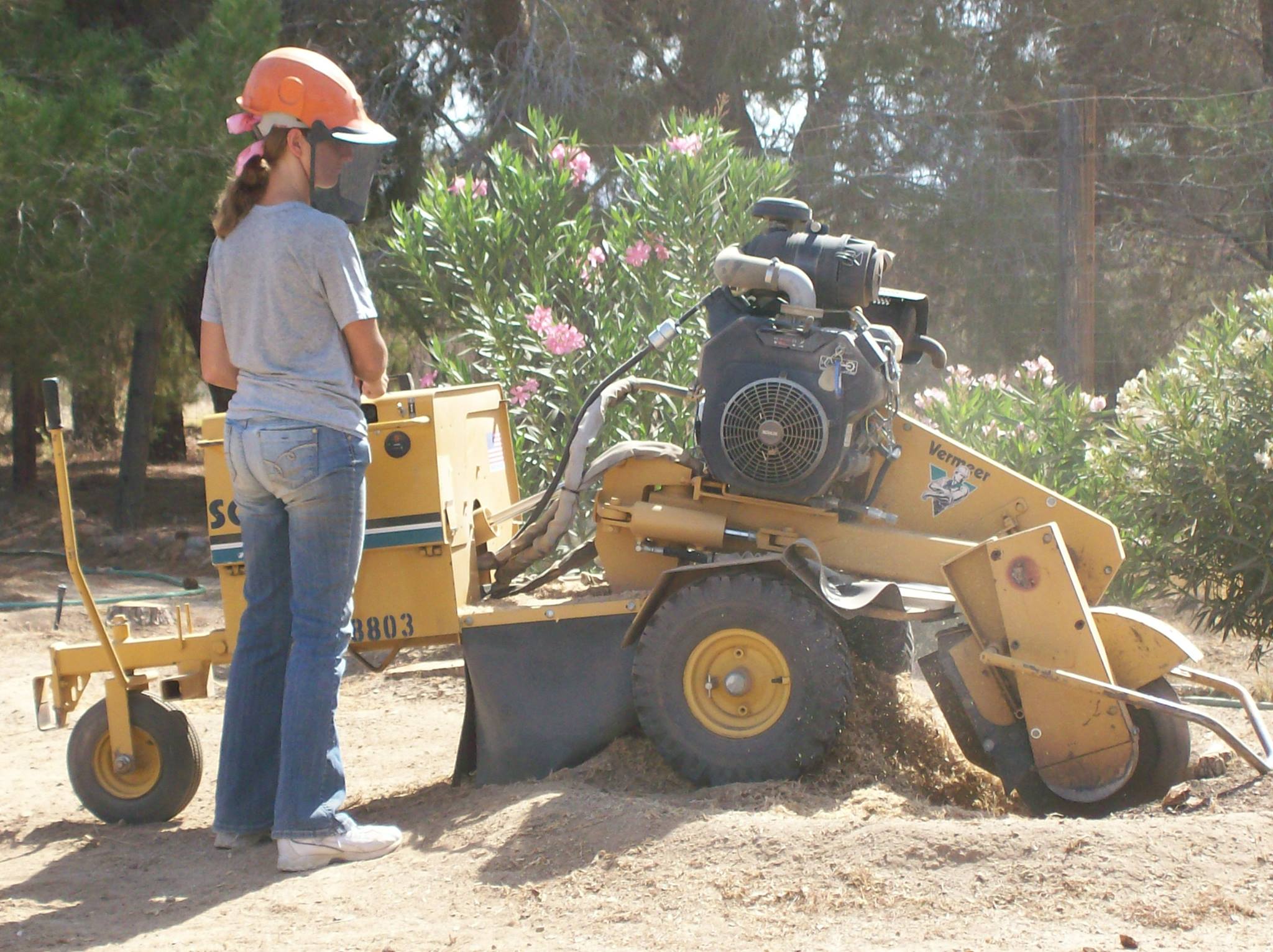 Mike's Tree Service & Removals