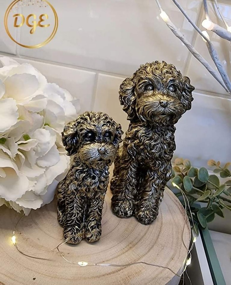 Our gorgeous Bronze Cockapoos are... - Donna's Gift Emporium
