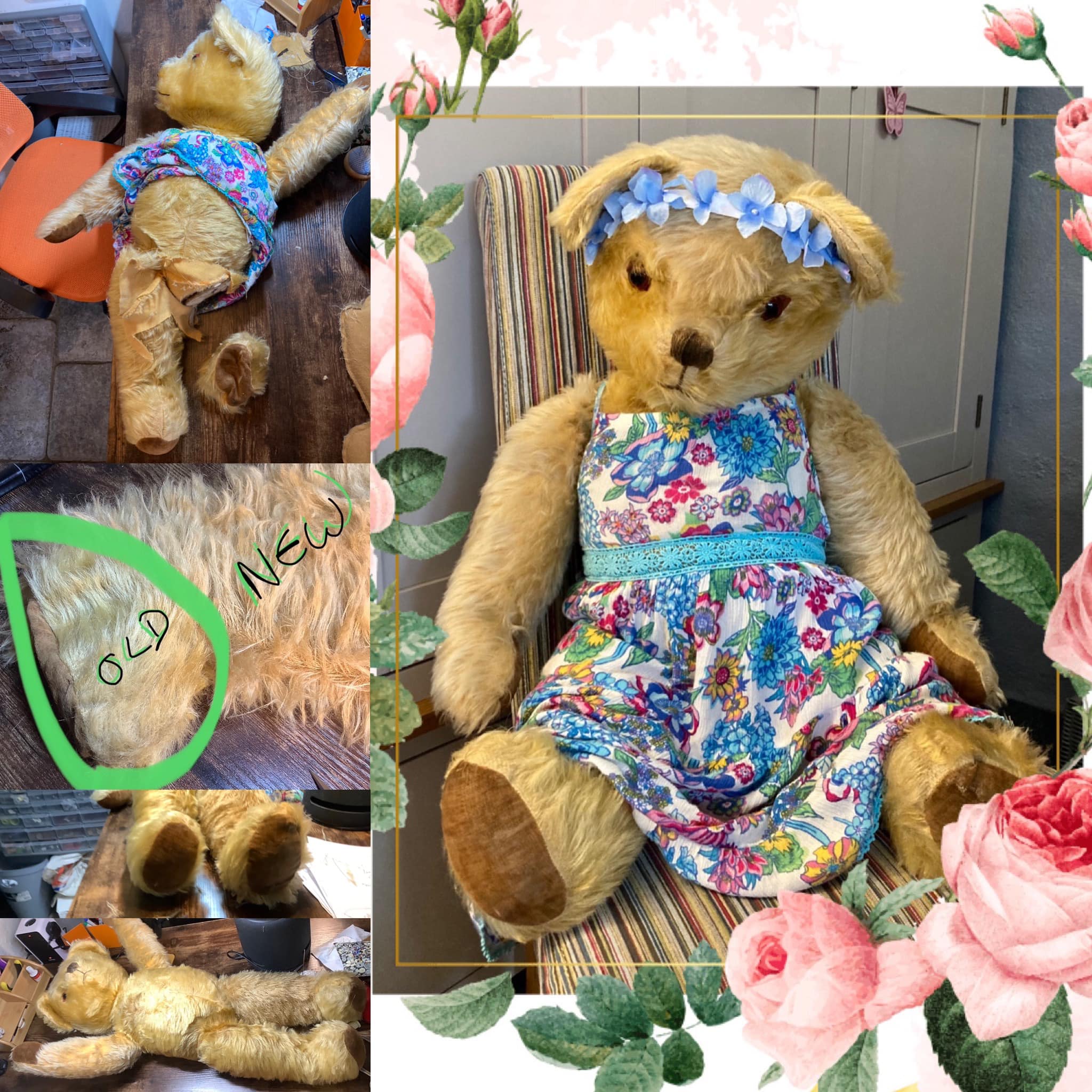 Vintage Pedigree Teddy Bear from Ireland