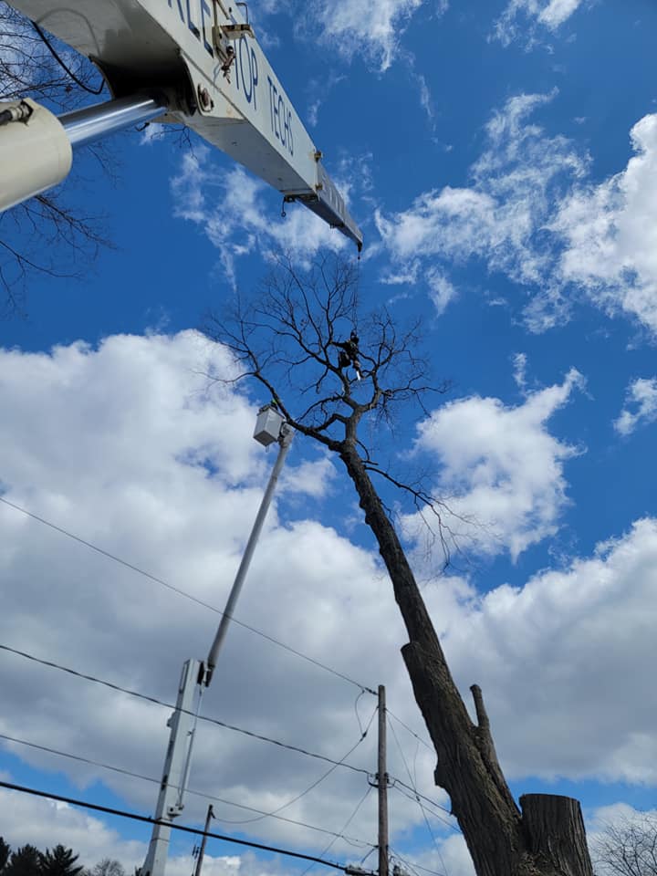 Tree Top Techs, LLC | Ballston Spa NY