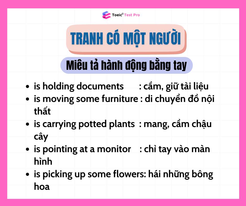 📝Tổng hợp các... - Estudyme - Practice for TOEIC Test Pro | Facebook