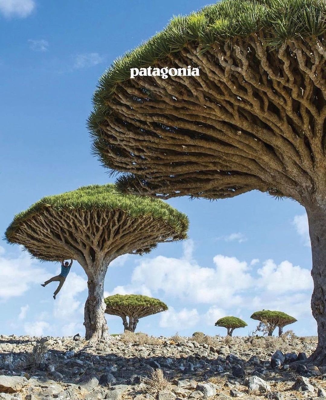 These '90s Patagonia catalogue pictures are so vintage and awesome