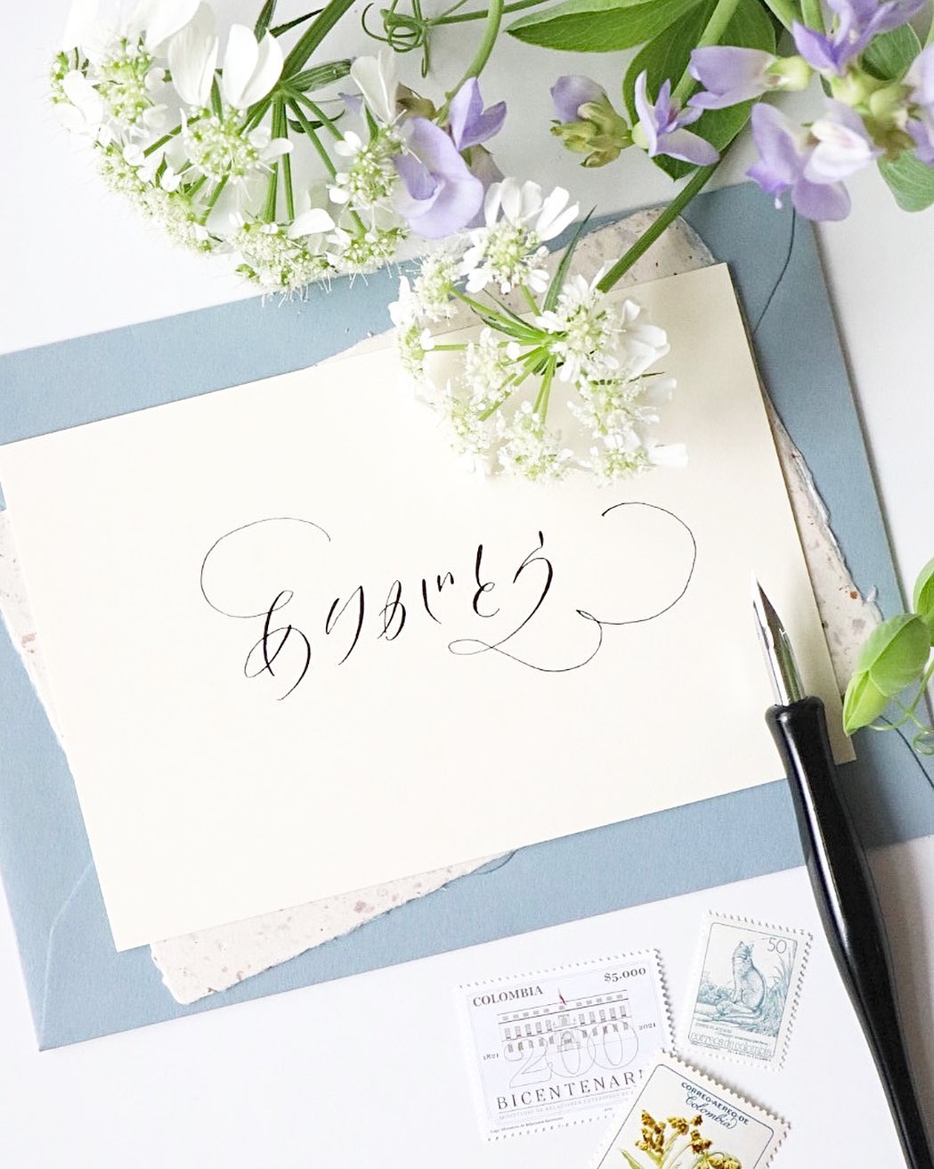 Mayugraphy Tokyo / Calligraphy, Photo, Styling - ポインテッドペンで書く日本語モダンスタイル ...
