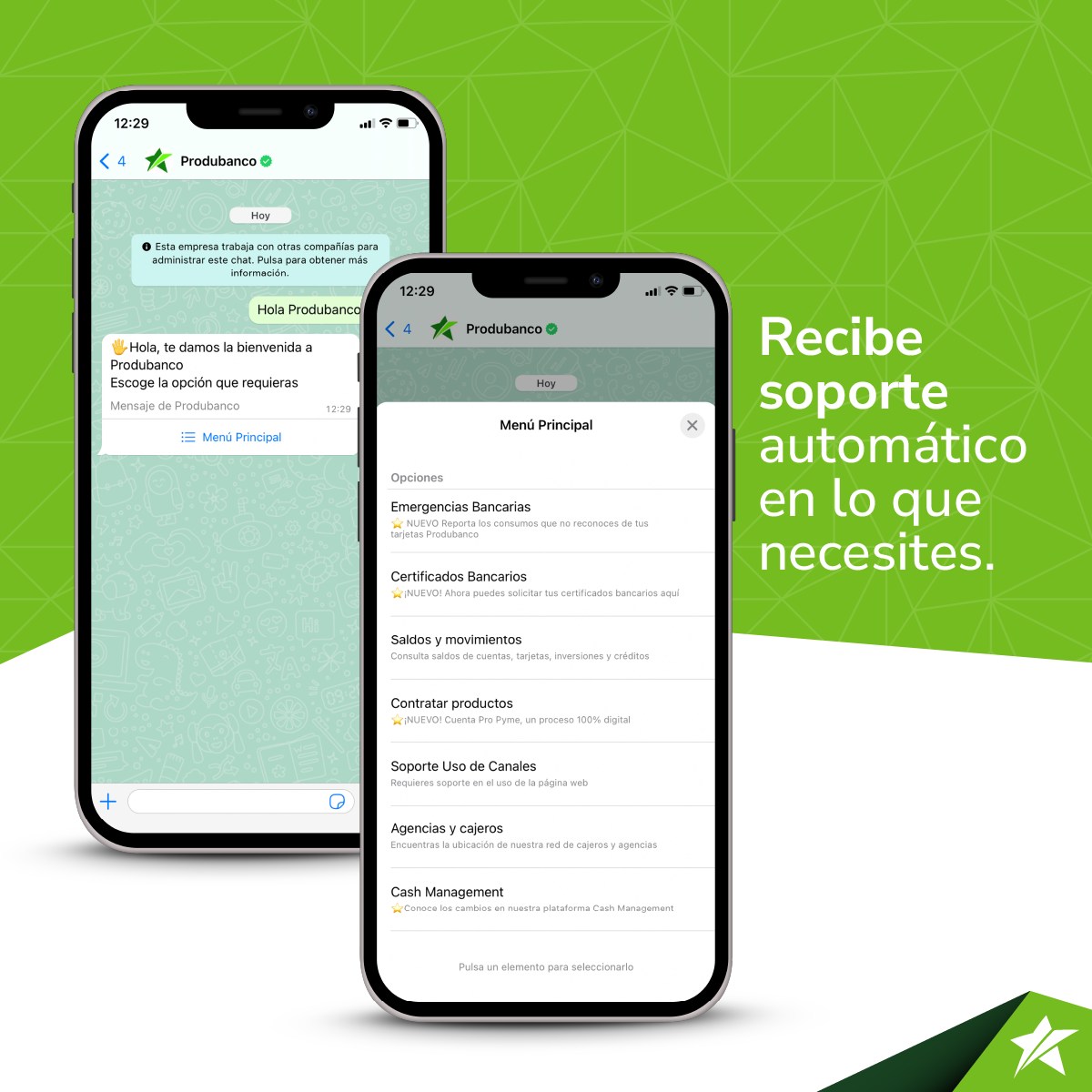 Escríbenos por WhatsApp al... - Produbanco - Grupo Promerica | Facebook