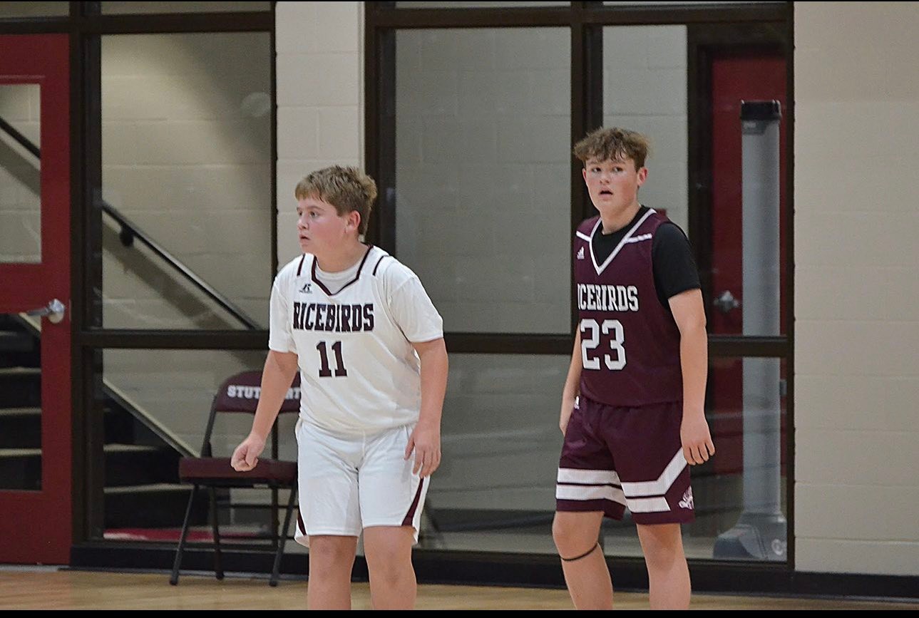 Stuttgart Ricebirds... - Stuttgart Ricebirds Basketball