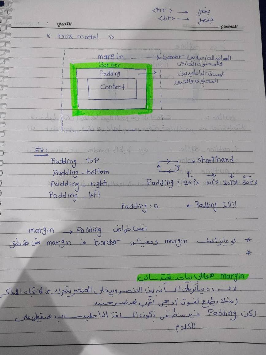 👨‍💻CodeX - Web Dev 🌐 | Facebook