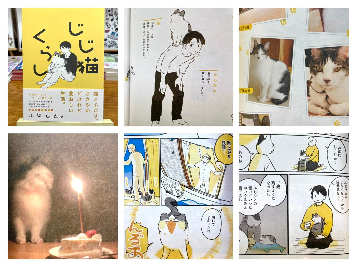 じじ猫くらし अन व षण गर न ह स Facebook