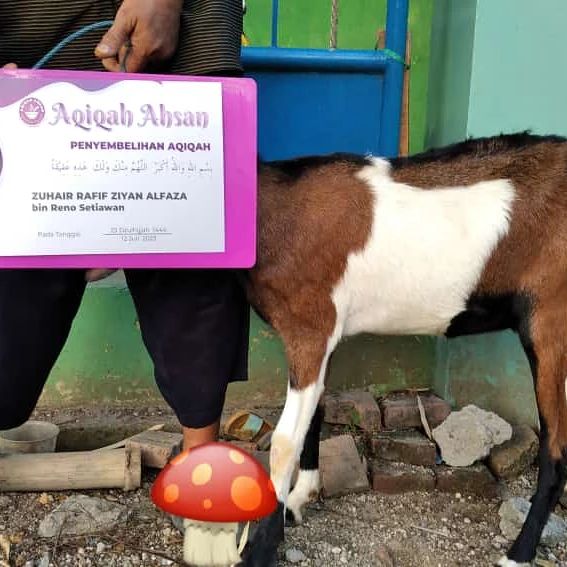 AQIQAH - Bismillah Allahu Akbar aqiqah atas nama Zuhair Rafif Ziyan ...