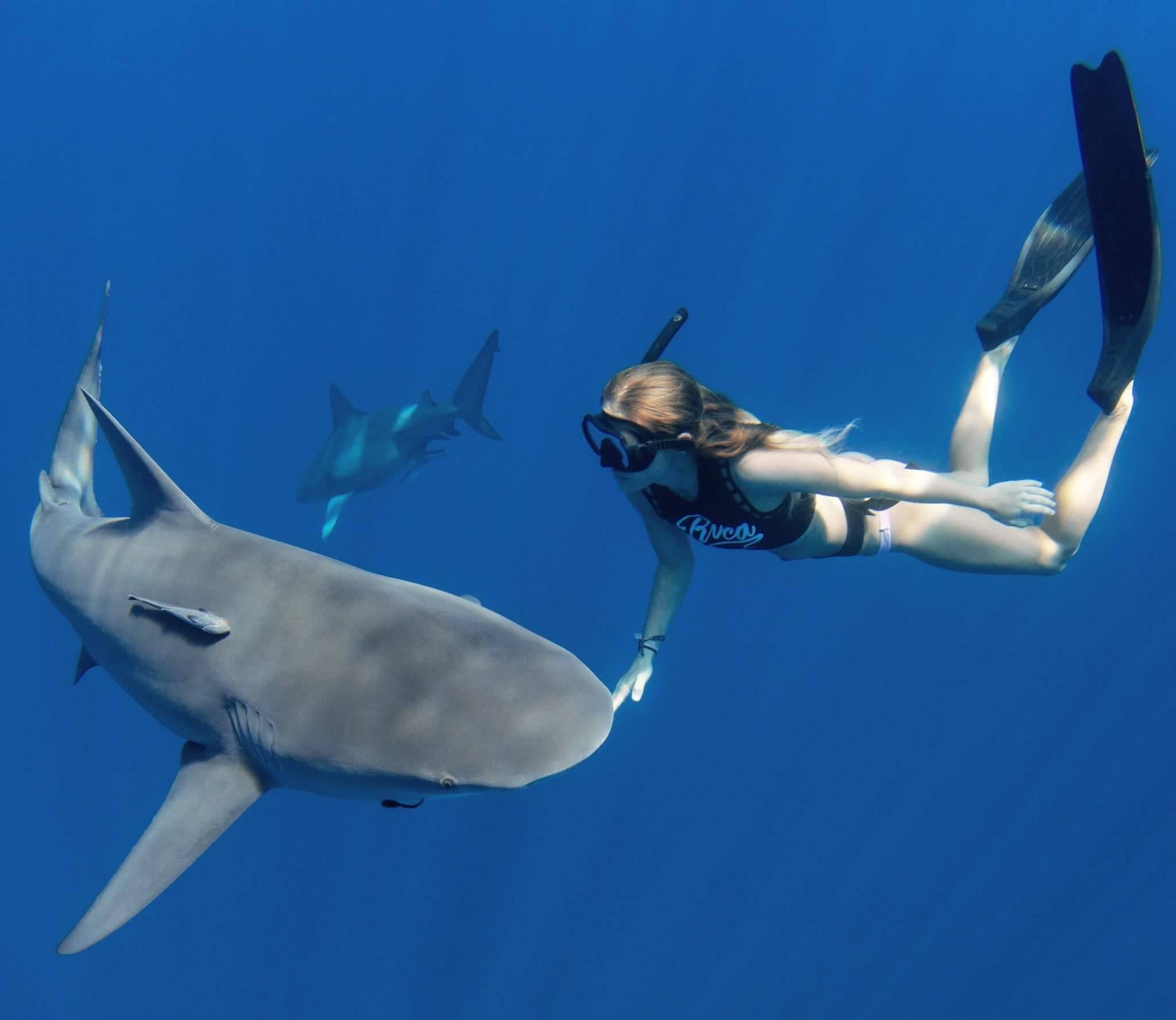 Bryce Rohrer - Captain - Prof Shark Diver