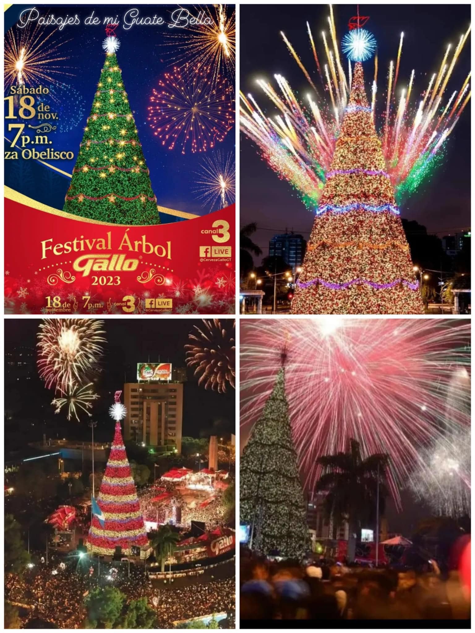 I Like GUATE - El Árbol Navideño GALLO 2023 Festival...
