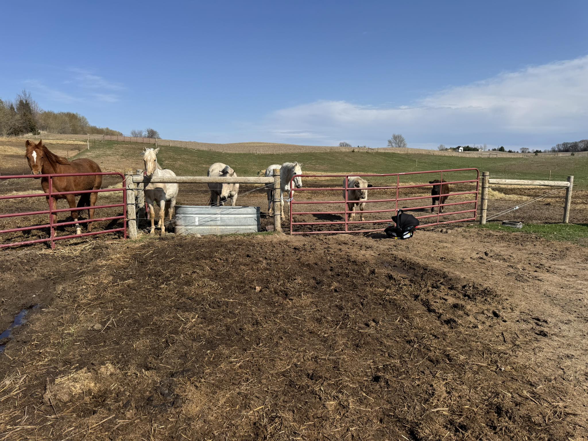 Mathe Farm LLC