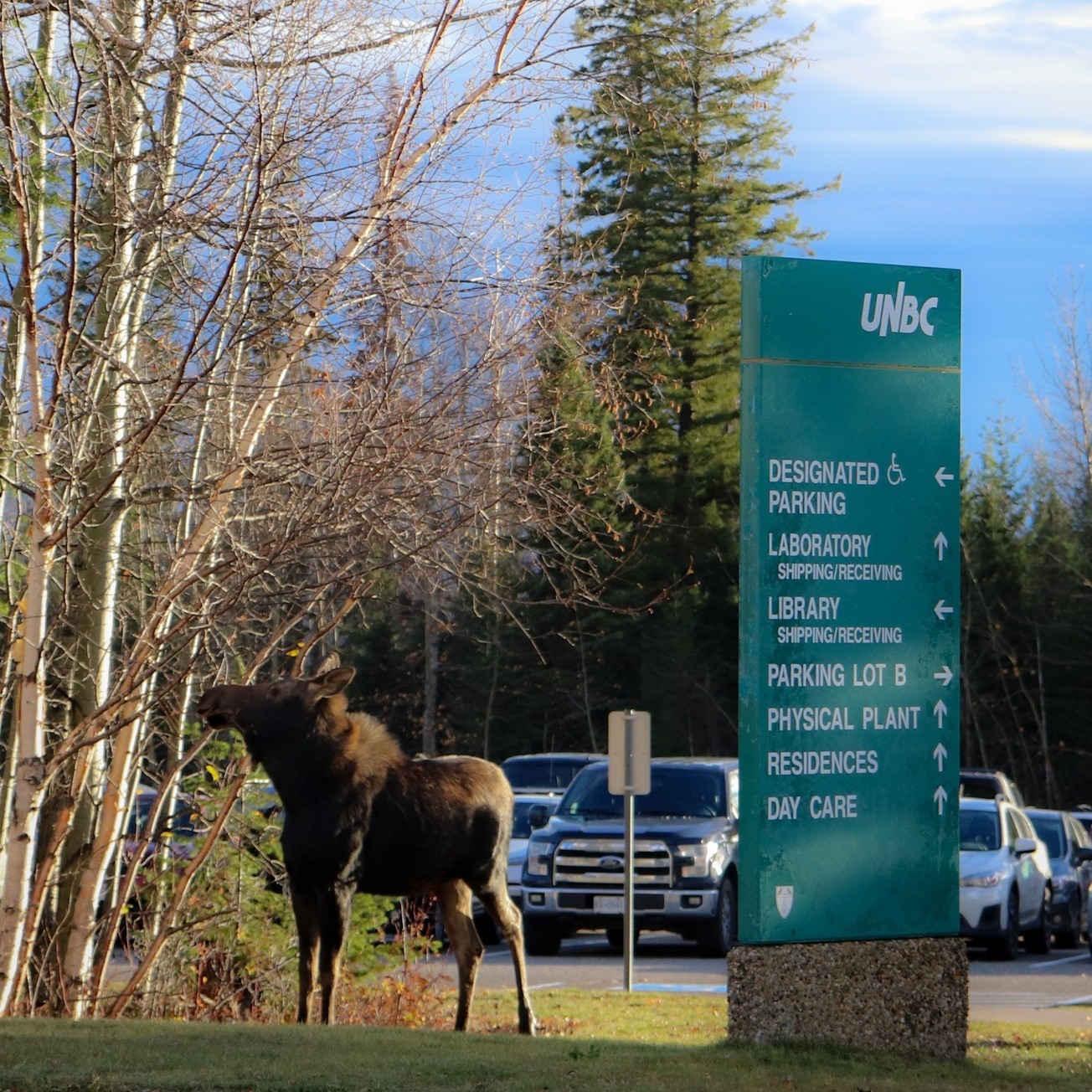 Observing the... - University of Northern British Columbia