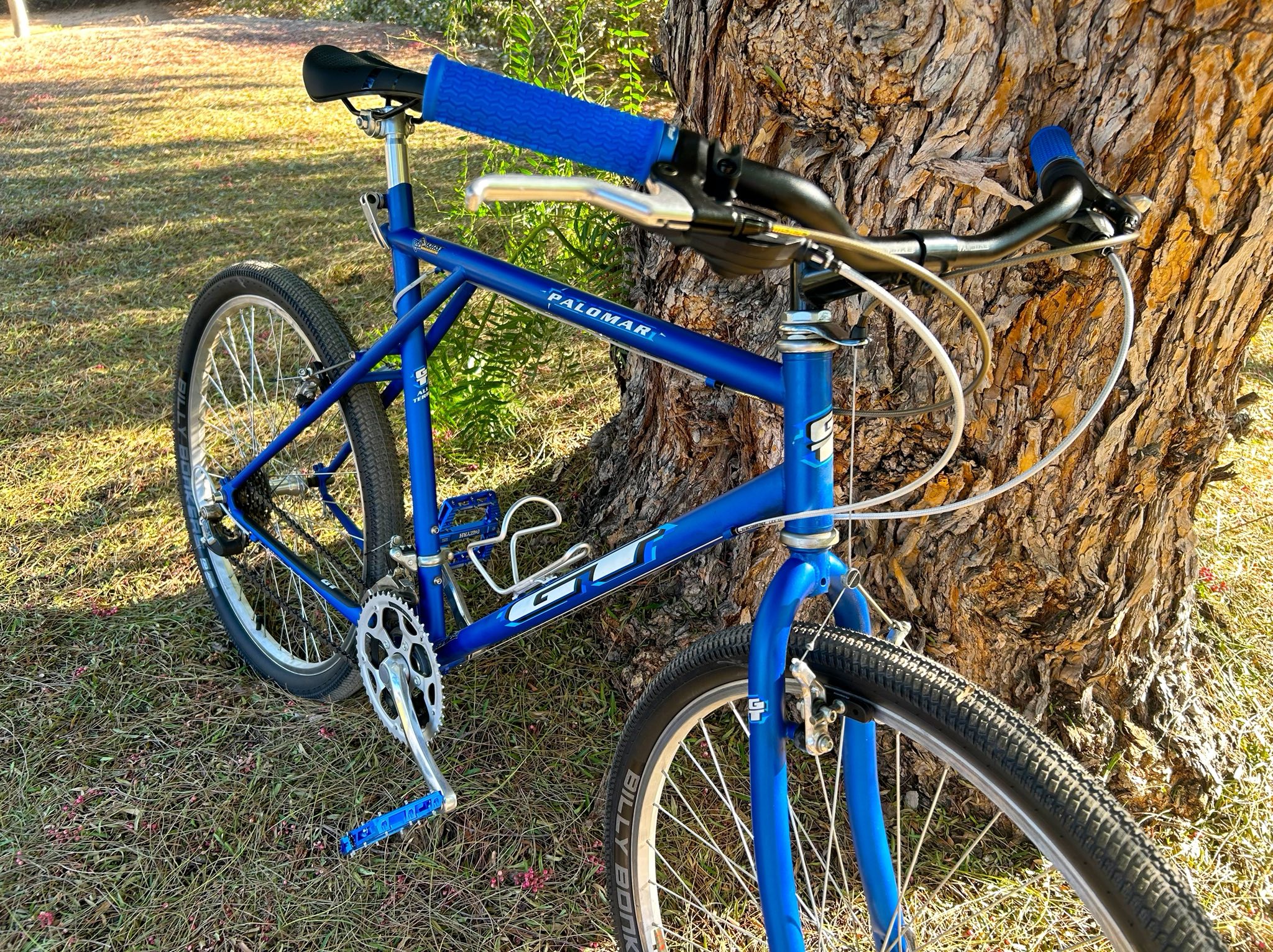Restoring 1998 GT Palomar bike