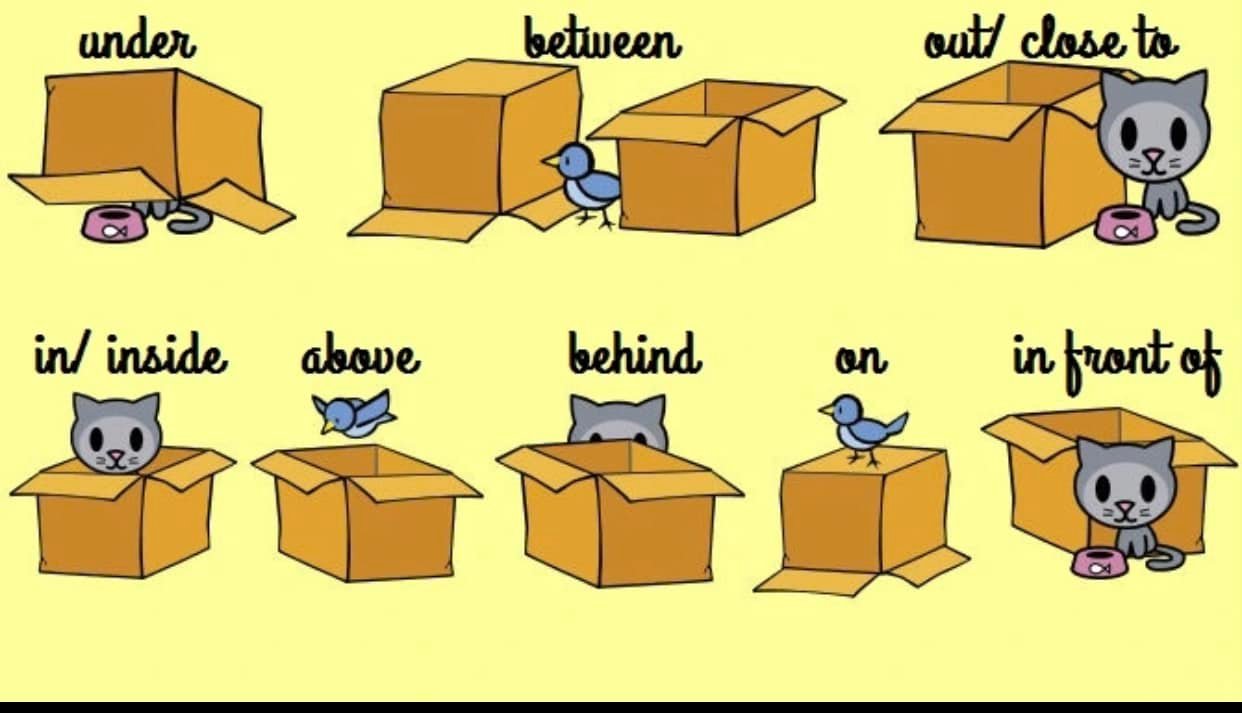 Worksheets for different levels