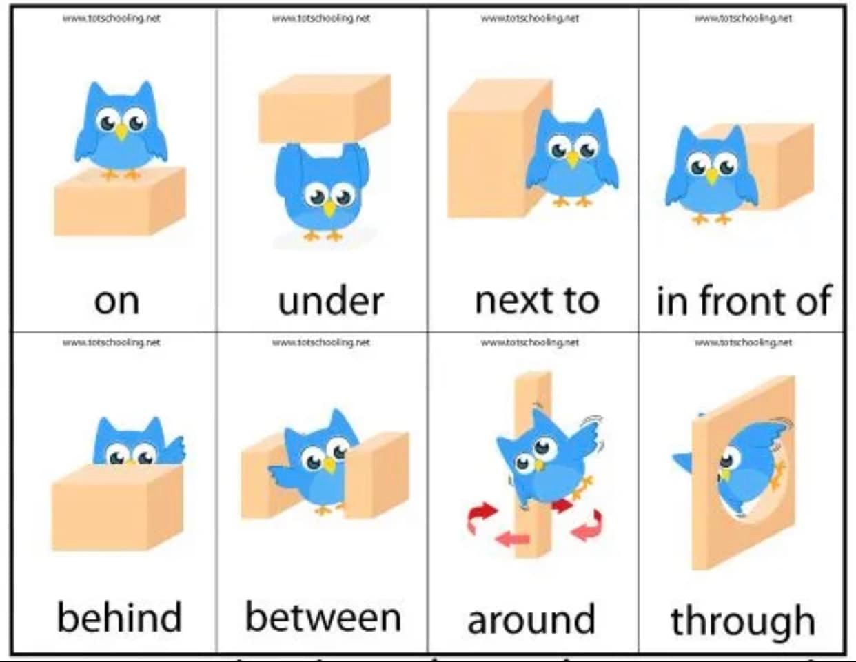 Worksheets for different levels