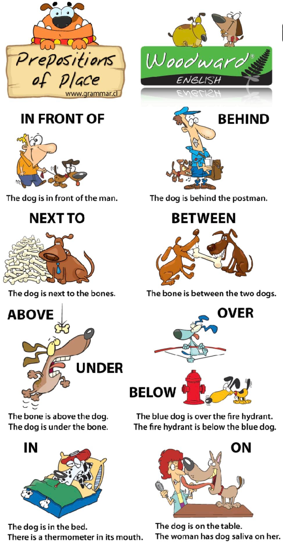 Worksheets for different levels