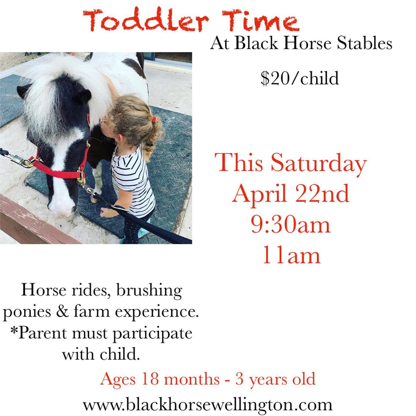 Black Horse Stables