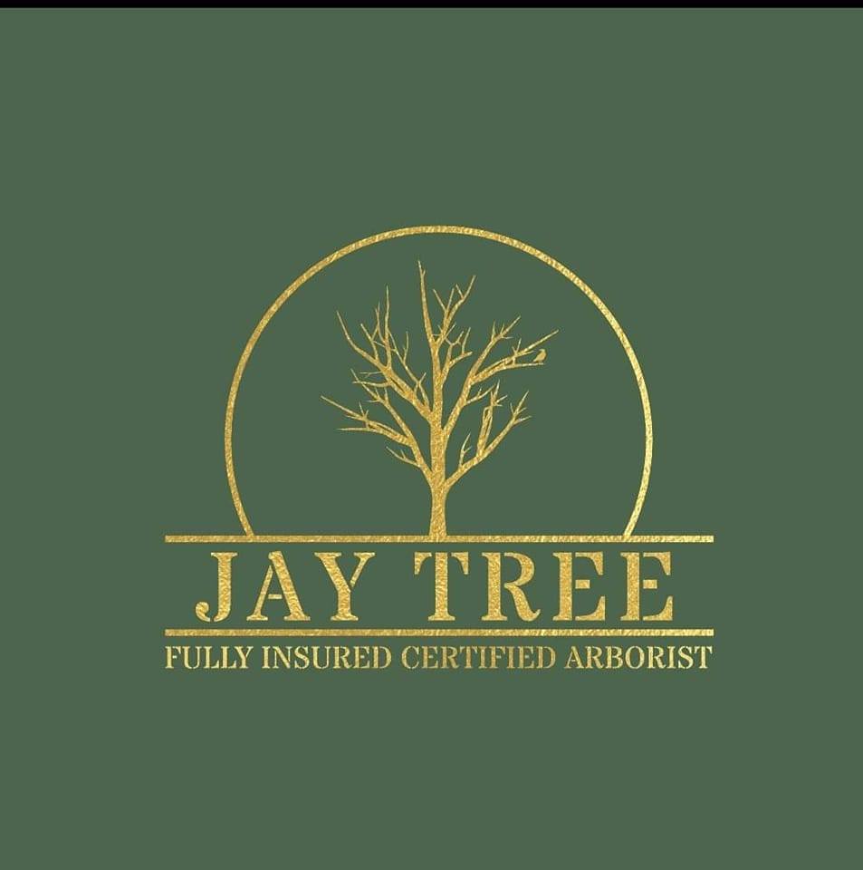 JayTree Services | Belleville ON