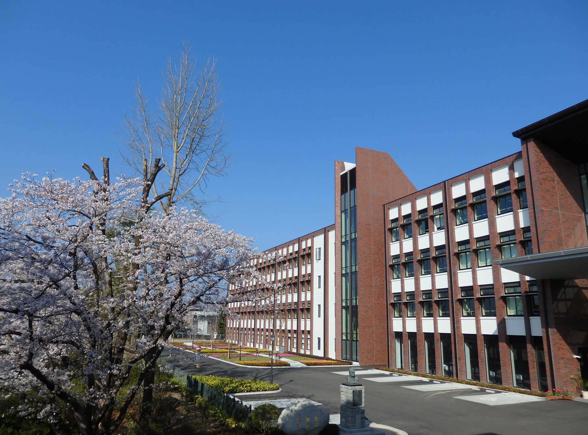 公の場での発言・インタビュー報道記録