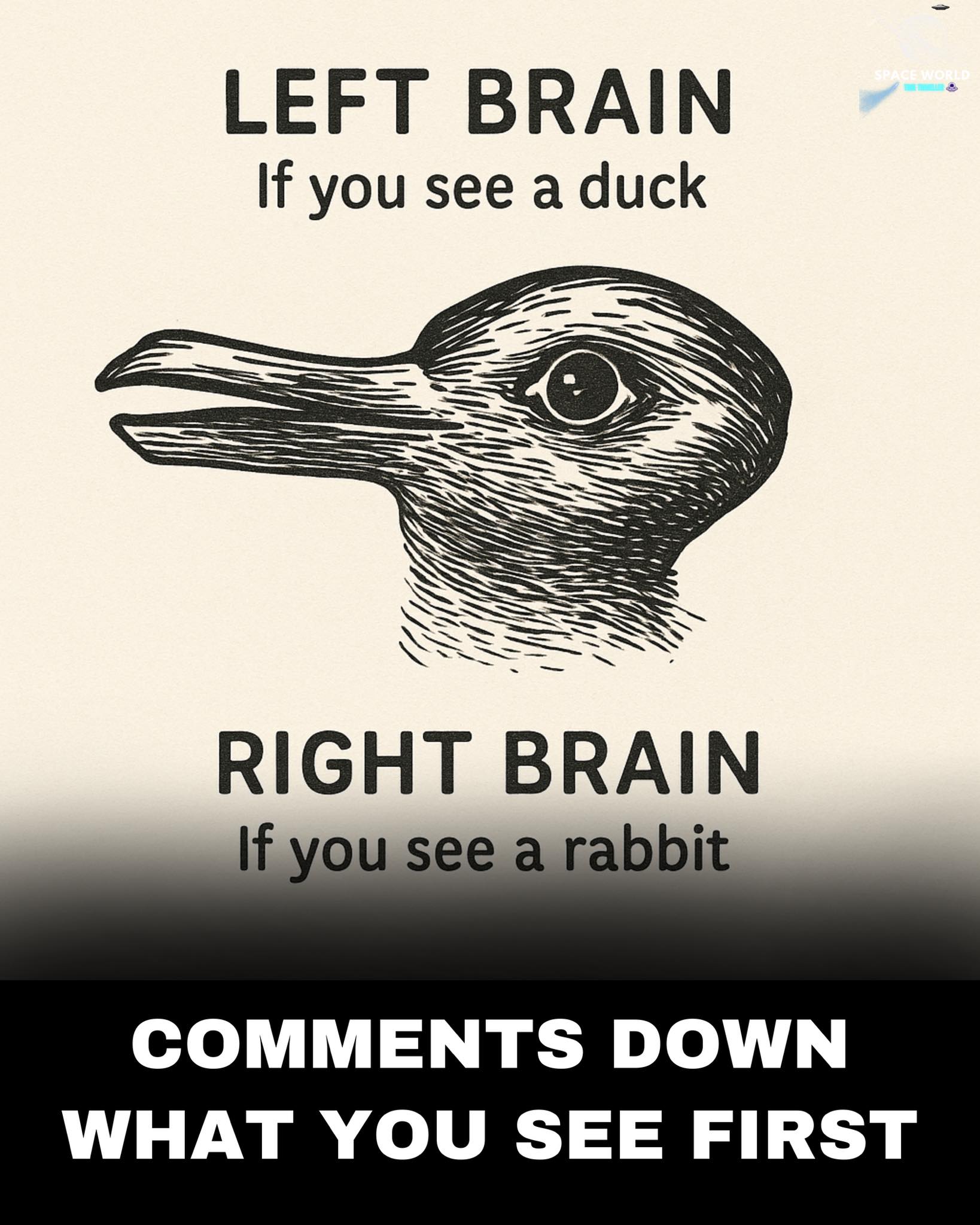 Space - This classic illusion is one of the most famous “brain ...